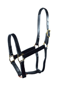 Hamilton  Leather  Halter