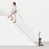 Dyson  Cinetic Big Ball Animal  Bagless  Corded  Upright Vacuum  11 amps Purple and Silver  HEPA
