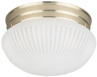 Westinghouse  4-3/4 in. H x 7-1/2 in. W x 8 in. L Ceiling Light