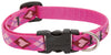 Lupine Pet Original Designs Multicolor Puppy Love Nylon Dog Adjustable Collar