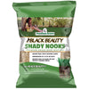 Black Beauty® Shady Nooks Grass Seed 25 Lb