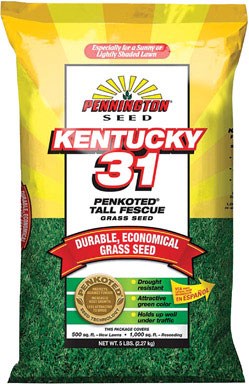 Pennington Seed Kentucky 31 Tall Fescue Grass Seed Penkoted 1000 Sq. Ft. 5 Lb.