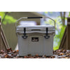 Nice Cooler 22 qt Gray