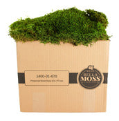 Syndicate Sales Inc 1400-01-070 1 Cubic Foot Preserved Sheet Moss