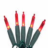 Celebrations  Platinum  LED  Mini  Red  50 count String Lights  24-1/2 ft.