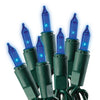 Celebrations  Staylit  Incandescent  Mini  Blue  100 count Constant  Commercial Light Set  33 ft.