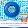 HTH Tablet Chlorinating Chemicals 15 lb