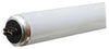 GE Lighting  60 watts T12  48 in. L Fluorescent Bulb  Cool White  Linear  4100 K (Pack of 24)