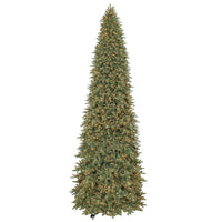 Tree Imprial Sprc Clr20'