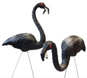 Union Products 62363 30 & 21 Black Zombie Flamingos In Display Box 2 Count