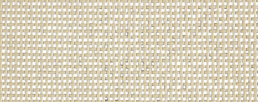 Phifer Wire  60 in. W x 100 ft. L Beige  Polyester  Screen Cloth