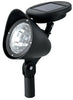 Sterno Home Solar Powered LED Pathway Light 2 pk