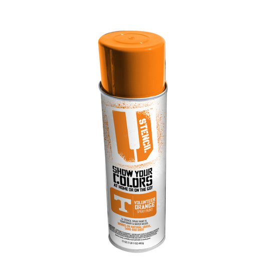 U-Stencil Matte Volunteer Orange Spray Paint 17 oz. (Pack of 6)