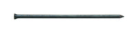 Pro-Fit 1-1/2 in. Trim Black Finish Nail 1 lb