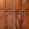 Cleaner Cab/Furn 24Oz (Pack Of 6)