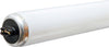 GE Lighting 110 watts T12 96 in. L Fluorescent Bulb Cool White Linear 4100 K 1 pk (Pack of 15)
