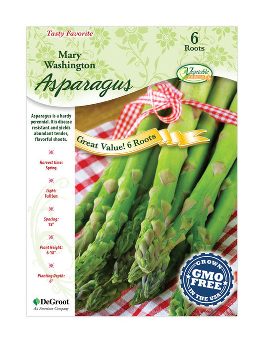 Ns Asparagus (Pack of 10)