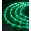 Celebrations  LED  Green  Rope  Light Set