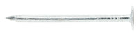 Stallion  2-1/2 in. Roofing  Electro-Galvanized  Steel  Nail  Flat  1 lb. (Pack of 12)