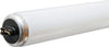 GE Lighting  60 watts T12  48 in. L Fluorescent Bulb  Cool White  Linear  4100 K (Pack of 24)