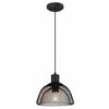 Westinghouse  DesignerYou  Black  1 lights Pendant Light