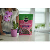 Miracle-Gro Orchid Potting Mix 8 qt (Pack of 6)