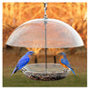 WoodLink 5 in. H X 15 in. W Bird Feeder Weather Guard