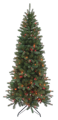 Edmtn Fir Slm Tree Mlt7'