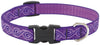 Lupine Pet Original Designs Multicolor Jelly Roll Nylon Dog Adjustable Collar