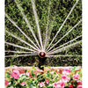 Rain Bird Plastic 24 ft. Half-Circle Rotary Nozzle