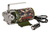 Red Lion  1/10 hp 300 gph Stainless Steel  DC  Portable Water Pump