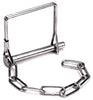 Reese Towpower Pintle Pin and Chain