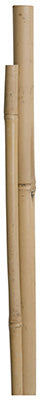 Bamboo Pole Plant Stakes, 5-Ft., 4-Pk.