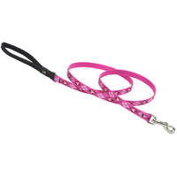 Lupine Pet Original Designs Multicolor Puppy Love Nylon Dog Leash