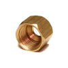 Dial 1/4 in. D Brass Compression Nut