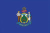 Valley Forge Maine State Flag 36 in. H X 60 in. W