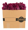 Syndicate Sales Bella Moss Lavender Reindeer Moss 10 lb