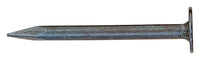 Stallion  1-5/8 in. Drywall  Steel  Nail  Flat  5 lb. (Pack of 6)