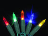 Celebrations  Platinum  LED  Mini  Multicolored  50 count String Lights  24-1/2 ft.