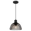 Westinghouse  DesignerYou  Black  1 lights Pendant Light