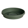 Bloem Terratray Thyme Green Resin Round Traditional Tray 1.2 H x 5.5 Dia. in. with Saucer