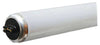 GE Lighting 75 watts T12 60 in. L Fluorescent Bulb Cool White Linear 4100 K 1 pk (Pack of 15)