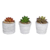 Alpine Polyresin Assorted 6 in. H Mini Flowerpots Outdoor Decoration (Pack of 9)