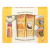Burts Bees - Cntr Dsp Tips And Toes - CS of 3-1 CT