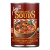 Amy's - Organic Fire Roasted Southwestern Vegetable Soup - Case of 12 - 14.3 oz