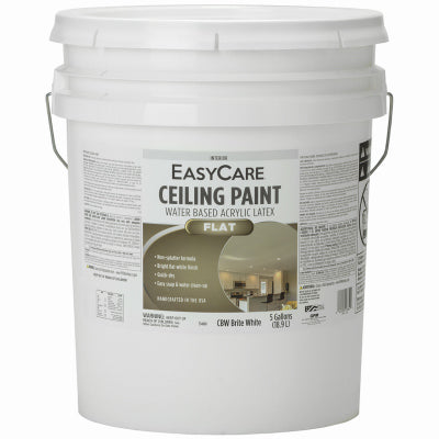 Latex Ceiling Paint, Brite White Flat Latex, 5-Gallons