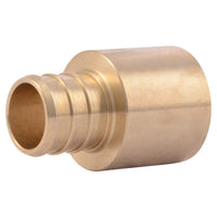 Adaptador hembra de latón SharkBite PEX de 3/4 pulg. x PEX de 3/4 pulg. de diámetro