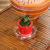 Gardeners Choice VS4VUS 4" Clear Vinyl Planter Saucer (Pack of 50)