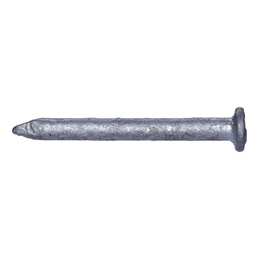 Pro-Fit  1-1/4 in. Joist Hanger  Hot-Dipped Galvanized  Steel  Nail  Flat  50 lb.