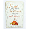 Open Road Brands  Peanuts  Harvest Sign  Fall Decor (Pack of 6)